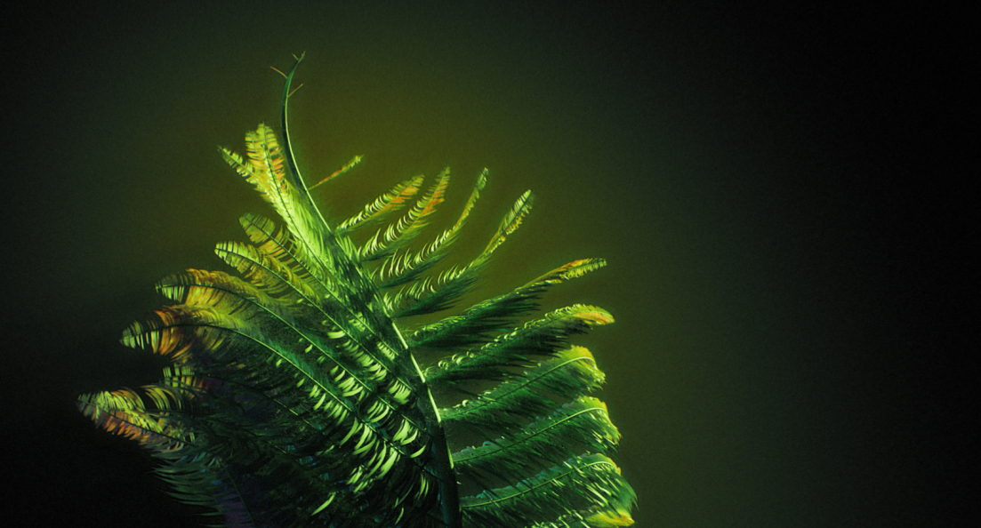 High-resolution image of a procedurally generated fern unfurling on a digital display; detailed textures, gentle motion, created with GrowInfinite.